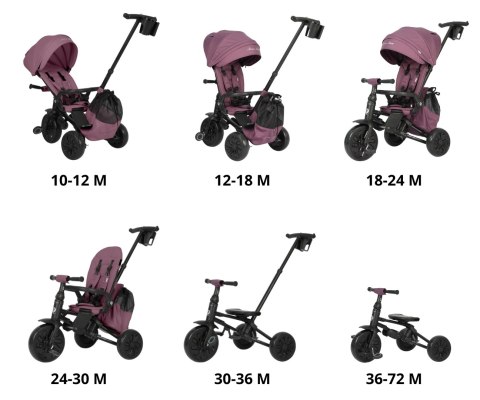 Qplay Rowerek Trójkołowy Nova Max Violet wiek 10m+