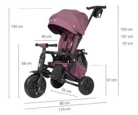 Qplay Rowerek Trójkołowy Nova Max Violet wiek 10m+