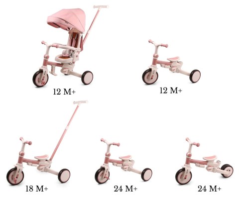 Rowerek trójkołowy dla dziewczynki 5w1 - biegowy i trójkołowy z rączką 12m+ Zippy