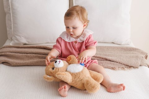 DUMEL DD 30819 Niedźwiadek brunatny