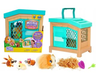 Interaktywna edukacyjna zabawka Świnka Morska Little Live Pets Mama Minis