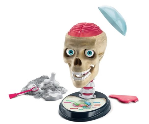 Clementoni Naukowa Zabawa Lab 50697 Zwariowana Anatomia Clementoni Naukowa Zabawa Lab 50697 Zwariowana Anatomia