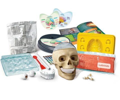 Clementoni Naukowa Zabawa Lab 50697 Zwariowana Anatomia Clementoni Naukowa Zabawa Lab 50697 Zwariowana Anatomia