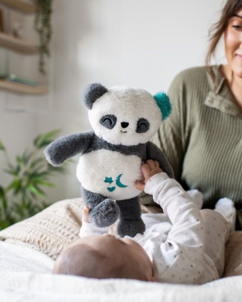 TOMMEE TIPPEE TTP491647 Pluszowy Szumiś Panda