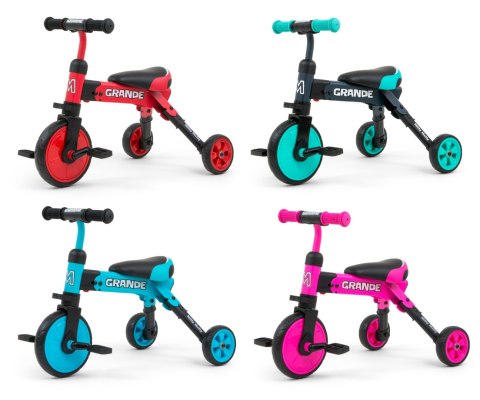 Rowerek 2w1 Grande Pink 12m+