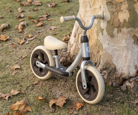 Qplay Rowerek Biegowy Trainer Silver 2+